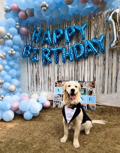 Birthday & Events