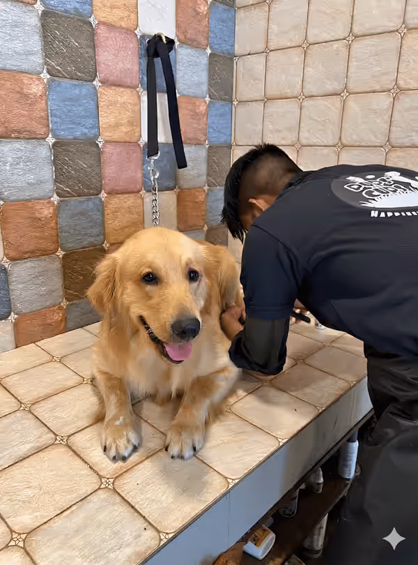 Grooming Room